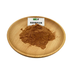 Organic Green Tea Extract Powder Herb Tea Polyphenols 98% Health Care Brown Yellow