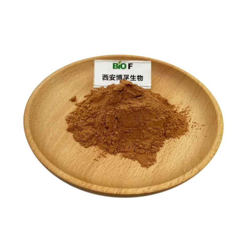 Organic Green Tea Extract Powder Herb Tea Polyphenols 98% Health Care Brown Yellow