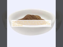 Eficaz 100% Natural Hamamelis Virginiana Witch Hazel Extracto Para Cosméticos Matérias-Primas Prazo de validade 24 meses