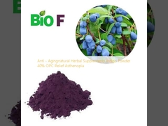 Suplementos fitoterápicos antienvelhecimento Indigo em pó 40% OPC Relief Asthenopia