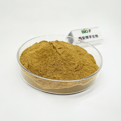 Natural Wholesale Hamamelis Virginiana Extract Witch Hazel Extract Tannin Powder