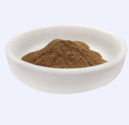 Eficaz 100% Natural Hamamelis Virginiana Witch Hazel Extracto Para Cosméticos Matérias-Primas Prazo de validade 24 meses