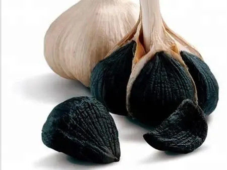 Produto de Saúde Óleo de Alho Negro Extracto 99% de pureza