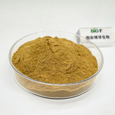 Extracto de Rhodiola Rosea em pó natural puro de alta qualidade CAS 97404-52-9